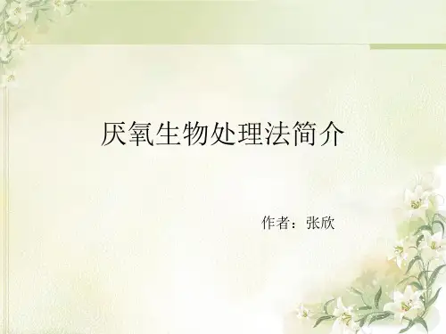 厌氧生物处理