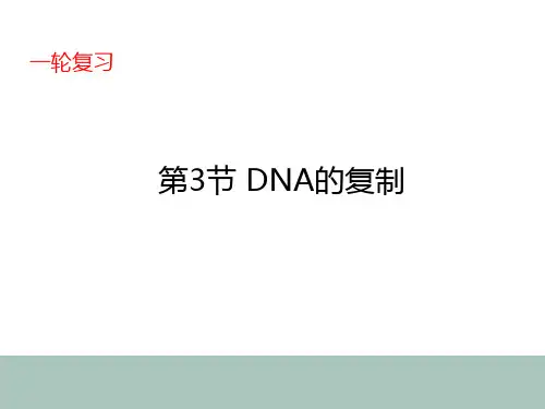 4-3高中生物一轮复习DNA的复制