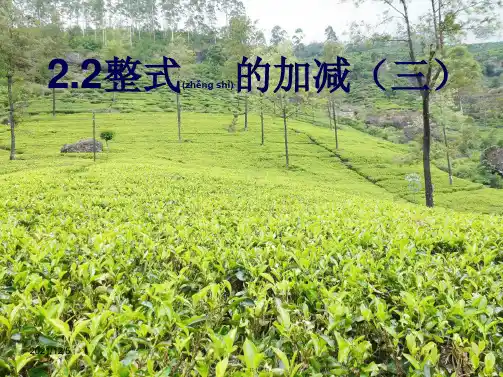 七年级数学上册 第二章 整式的加减 2.2 整式的加减(第3课时)课件_1