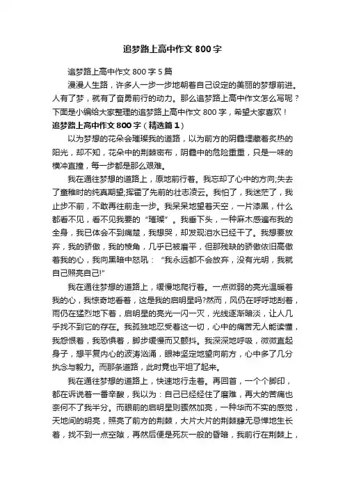 追梦路上高中作文800字