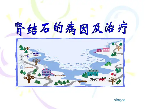 肾结石的课件ppt