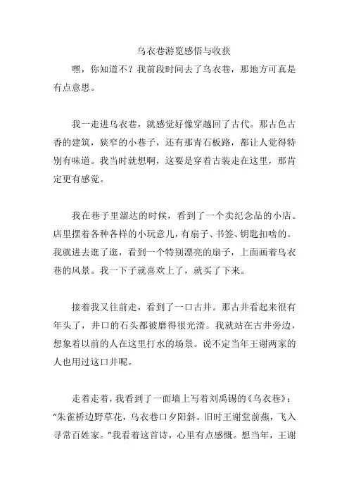 乌衣巷游览感悟与收获