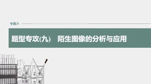 高中化学 步步高 二轮复习课件 化学反应陌生图像的分析与应用