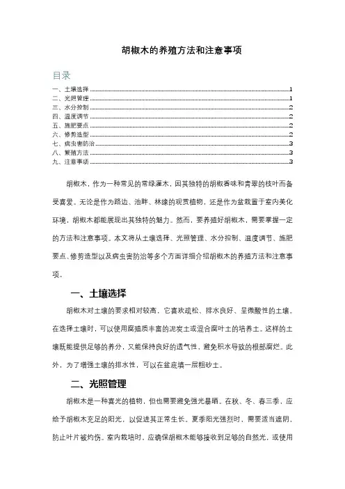 胡椒木的养殖方法和注意事项