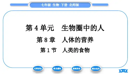 北师大版七年级生物下第4单元生物圈中的人第8章人体的营养第1节人类的食物习题课件
