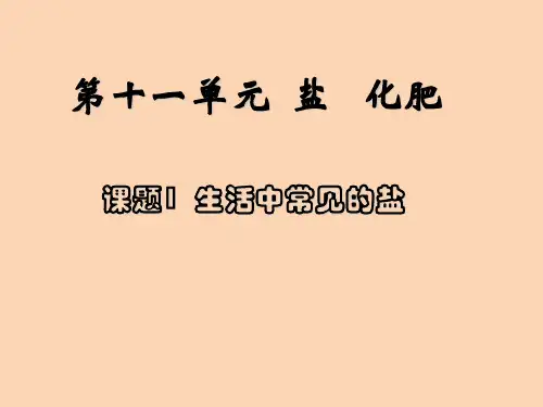人教版化学九年级第十一单元 第十一单元  盐  化学肥料 课题1生活中常见的盐课件