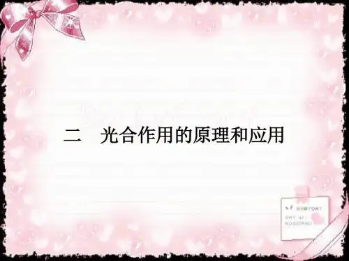 2018-2019学年高中生物必修一(人教版)课件：5.4.2