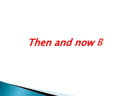 六年级下册英语课件：Unit 4  B Let's talk人教PEP版