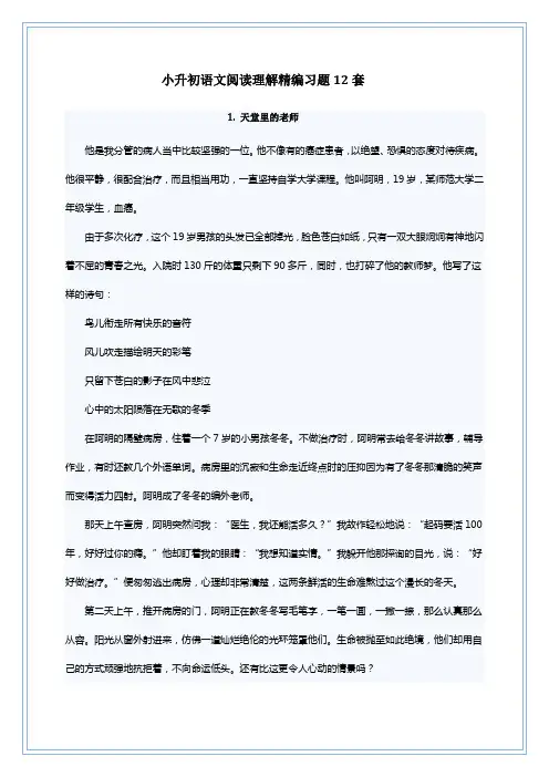 小升初语文阅读理解精编习题12套(附答案) (2)