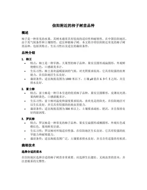 信阳附近的柿子树苗品种