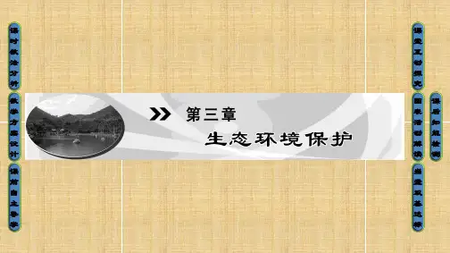 高中地理 第三章 生态环境保护 第1节 生态系统与生态平衡名师精编课件 湘教版选修6