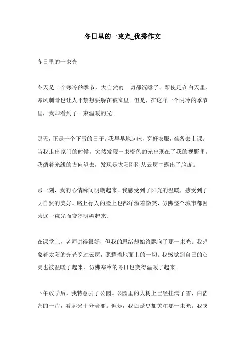 冬日里的一束光优秀作文