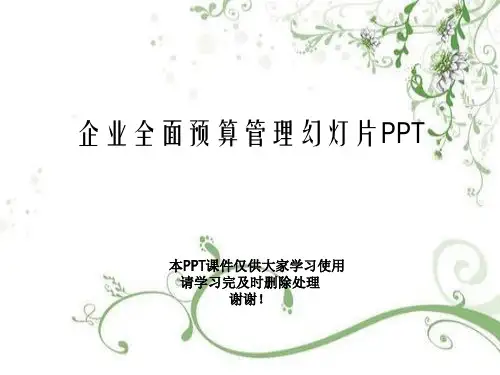 企业全面预算管理幻灯片PPT