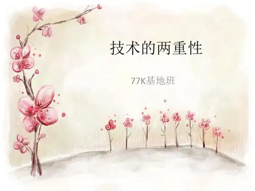 技术两重性