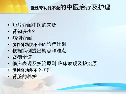 肾病的中医治疗及护理