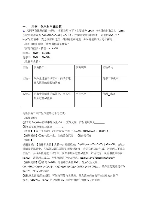 中考化学 探究题 培优 易错 难题练习(含答案)及详细答案