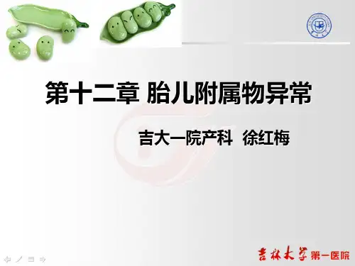 前置胎盘胎盘早剥