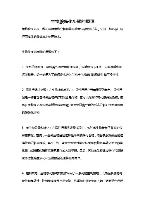 生物胺净化步骤的原理