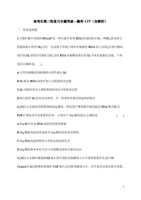 高考生物二轮复习专题突破—酶和ATP(含解析)