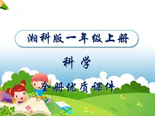 湘科版小学科学一年级上册全册课件