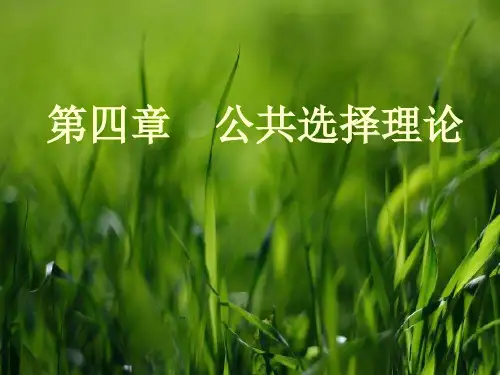 第四章 公共选择理论..