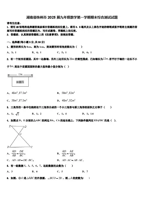 湖南省株州市2025届九年级数学第一学期期末综合测试试题含解析