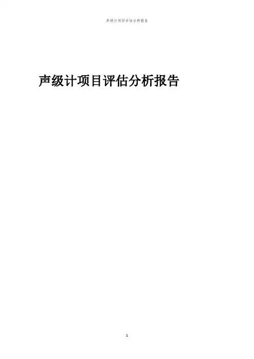 2023年声级计项目评估分析报告