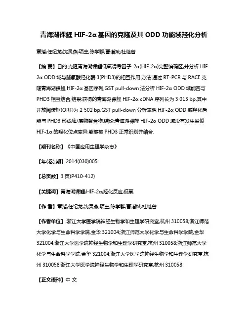 青海湖裸鲤HIF-2α基因的克隆及其ODD功能域羟化分析