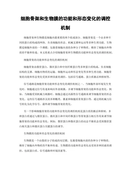 细胞骨架和生物膜的功能和形态变化的调控机制