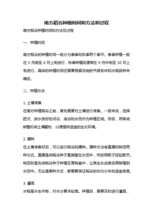 南方稻谷种植时间和方法和过程