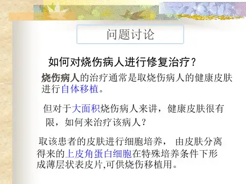 动物细胞培养及传代