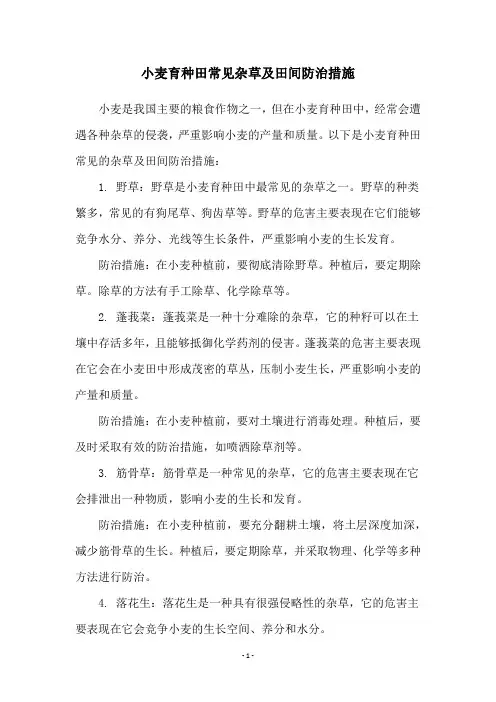 小麦育种田常见杂草及田间防治措施