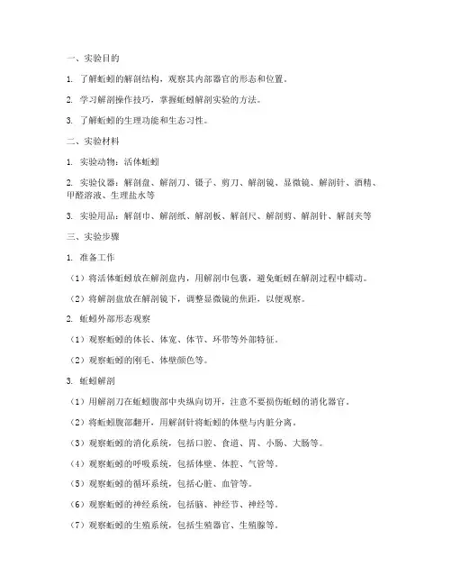 蚯蚓的解剖实验报告