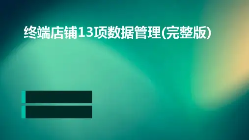 终端店铺13项数据管理(完整版)