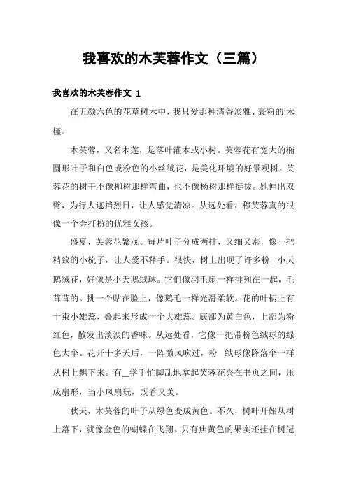 我喜欢的木芙蓉作文(三篇)