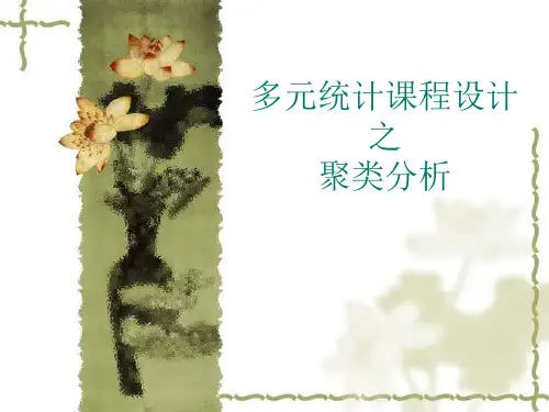 聚类分析部分 PPT课件