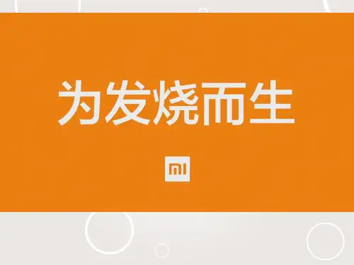 小米案例分析