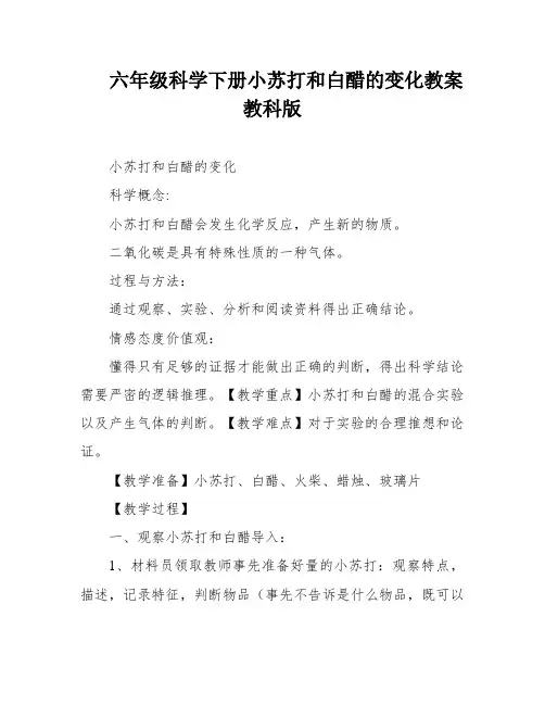 六年级科学下册小苏打和白醋的变化教案教科版