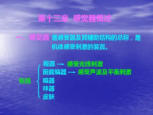 《人体解剖学》课件——感觉器(人卫版)