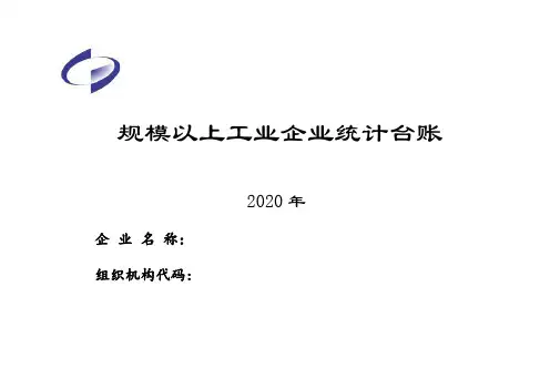 工业企业统计台账2020