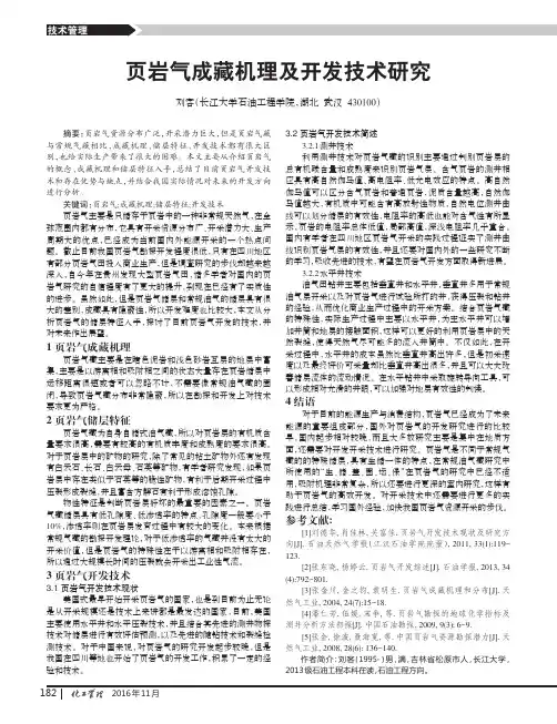 页岩气成藏机理及开发技术研究