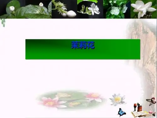 六年级音乐上册第1课演唱茉莉花ppt课件1人音版