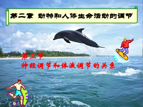 高中生物必修3精品课件1：2.3 神经调节与体液调节的关系