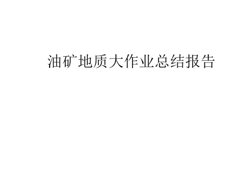 油矿地质大作业总结报告(正式版)