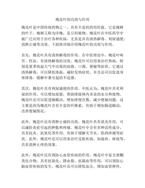 槐花叶的功效与作用
