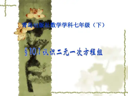 10.1_认识二元一次方程组课件 孟斌
