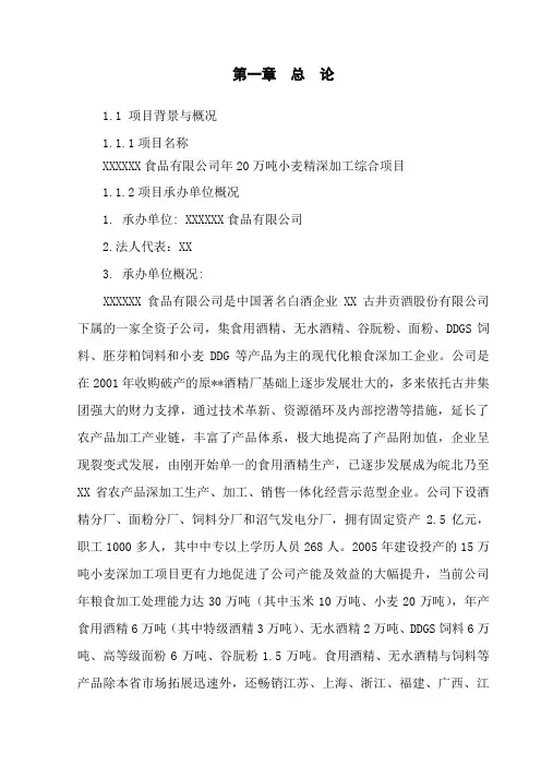 小麦精深加工综合项目可行性研究报告