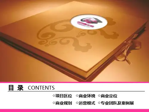 成都置信时尚青年城商业招商手册
