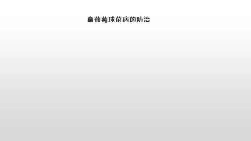 禽葡萄球菌病的防治