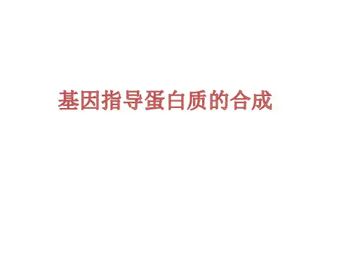高三一轮复习——基因指导蛋白质的合成